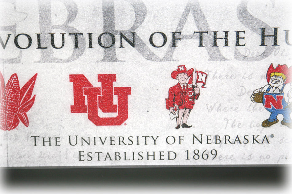 Framed Evolution Logos N Mascots Crackle