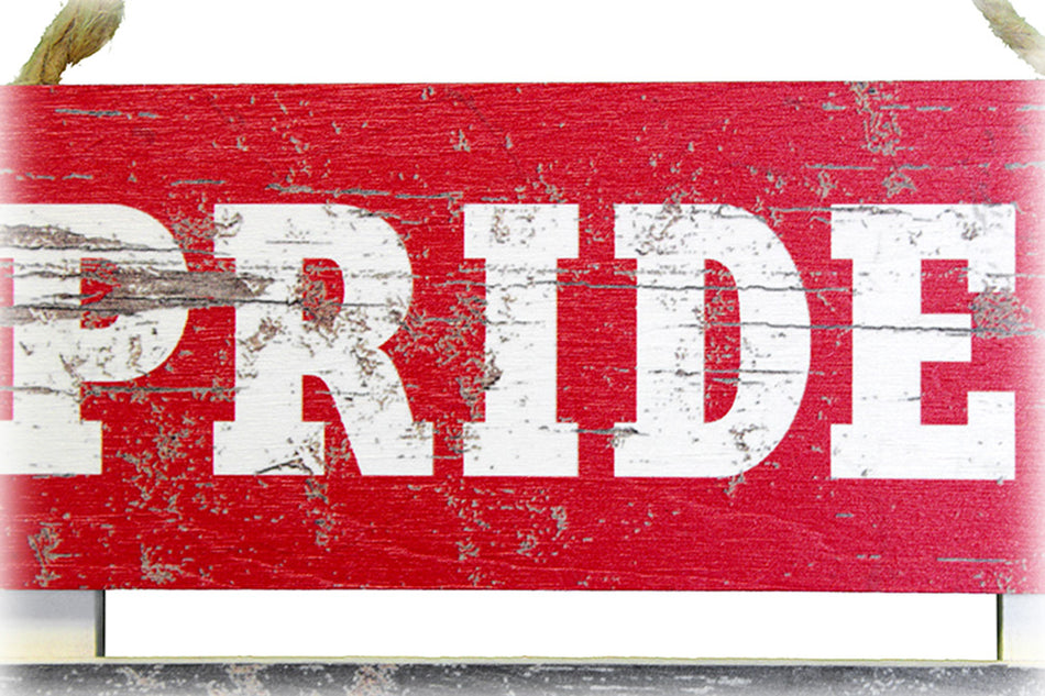 Nebraska Pride Wooden Sign
