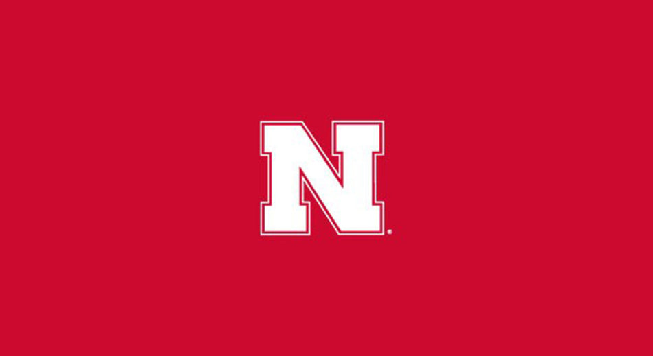 Nebraska 9 Foot Billiard Playing Surface Cloth