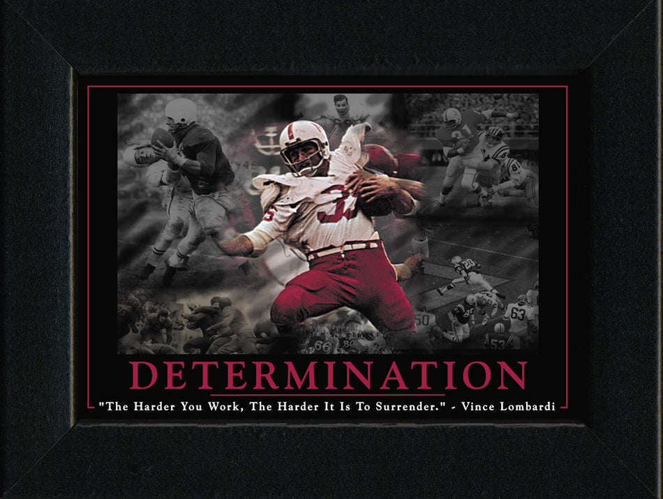 Determination Framed