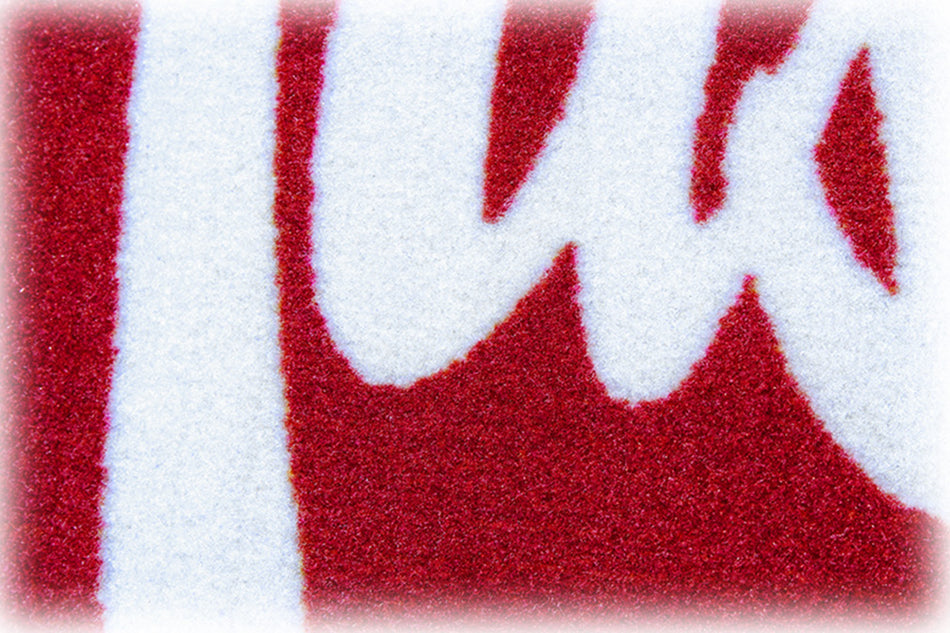 Huskers All Star Rug