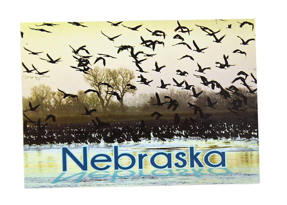 Platte River Cranes Postcard