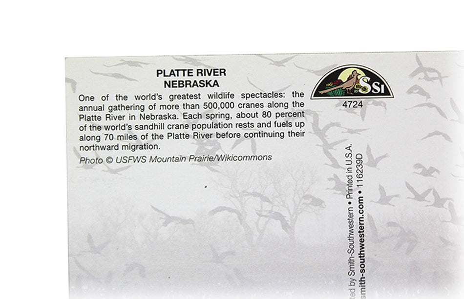 Platte River Cranes Postcard