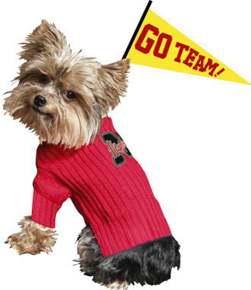 Husker Dog Sweater